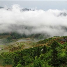 Dragon's Backbone rice terraces